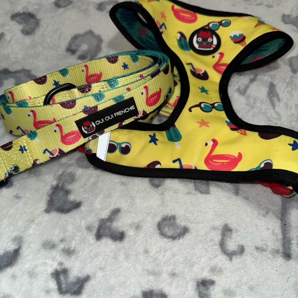 Yellow Reversible Harness and Leash Set